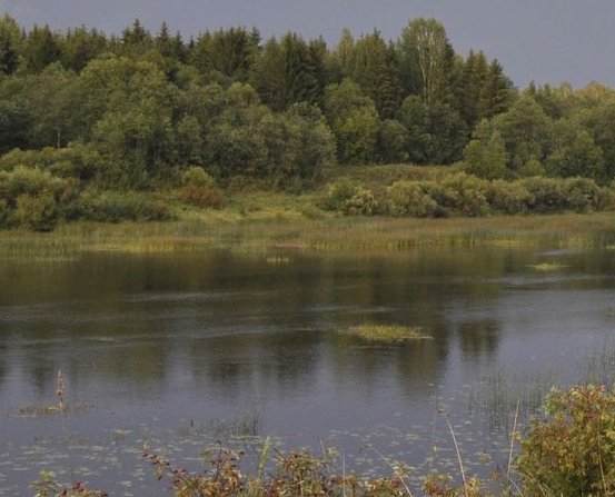 Сплав и рыбалка на р. Кубена от п. Пролетарский до г. Харовск (длина 180 км) - фото