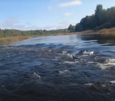 Сплав и рыбалка на р. Кубена от п. Пролетарский до г. Харовск (длина 180 км) - фото