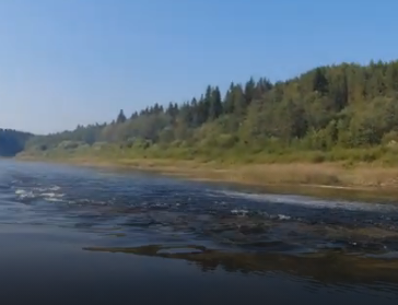Сплав и рыбалка на р. Кубена от п. Пролетарский до г. Харовск (длина 180 км) - фото