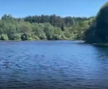 Сплав и рыбалка на р. Кубена от п. Пролетарский до г. Харовск (длина 180 км) - фото