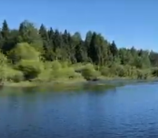 Сплав и рыбалка на р. Кубена от п. Пролетарский до г. Харовск (длина 180 км) - фото