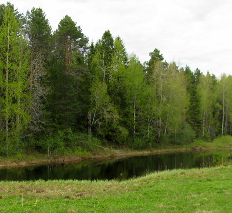 Сплав и рыбалка на р. Кубена от п. Пролетарский до г. Харовск (длина 180 км) - фото