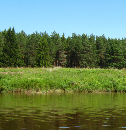 Сплав и рыбалка на р. Быстрица от п. Стрижи до д. Скозырята (длина 48 км) - фото
