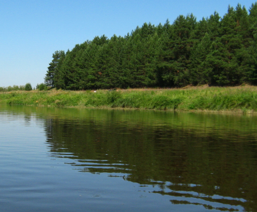 Сплав и рыбалка на р. Быстрица от п. Стрижи до д. Скозырята (длина 48 км) - фото