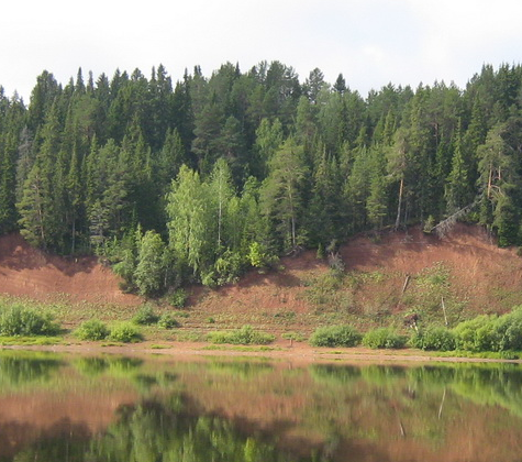 Сплав и рыбалка на р. Быстрица от п. Стрижи до д. Скозырята (длина 48 км) - фото