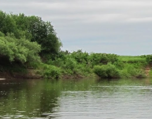 Сплав и рыбалка на р. Быстрица от п. Стрижи до д. Скозырята (длина 48 км) - фото