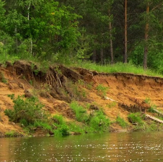 Сплав и рыбалка на р. Быстрица от п. Стрижи до д. Скозырята (длина 48 км) - фото