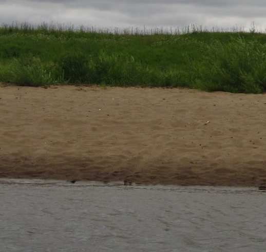 Сплав и рыбалка на р. Быстрица от п. Стрижи до д. Скозырята (длина 48 км) - фото