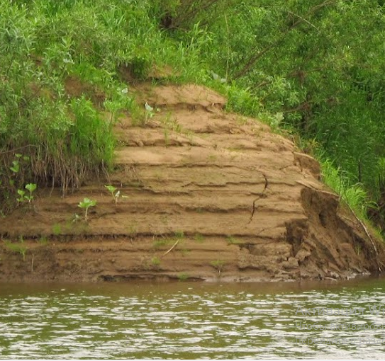 Сплав и рыбалка на р. Быстрица от п. Стрижи до д. Скозырята (длина 48 км) - фото