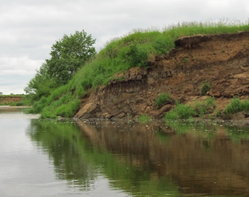 Сплав и рыбалка на р. Быстрица от п. Стрижи до д. Скозырята (длина 48 км) - фото