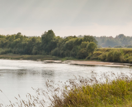 Сплав и рыбалка на р. Быстрица от п. Стрижи до д. Скозырята (длина 48 км) - фото