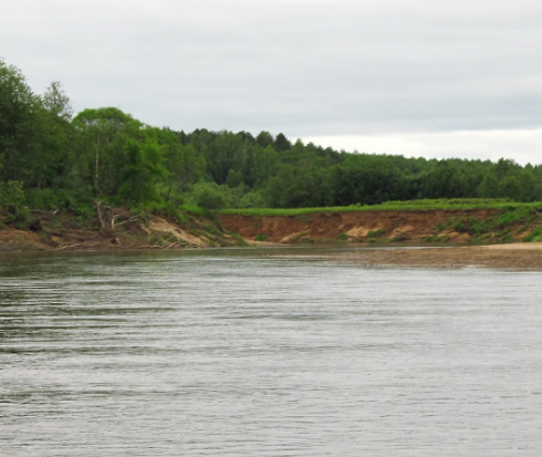 Сплав и рыбалка на р. Быстрица от п. Стрижи до д. Скозырята (длина 48 км) - фото