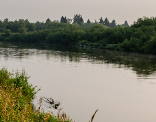Сплав и рыбалка на р. Быстрица от п. Стрижи до д. Скозырята (длина 48 км) - фото