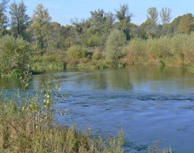 Сплав и рыбалка на р. Б. Иргиз  от Старой Порубёжка  до п. Заволжский (139 км) - фото