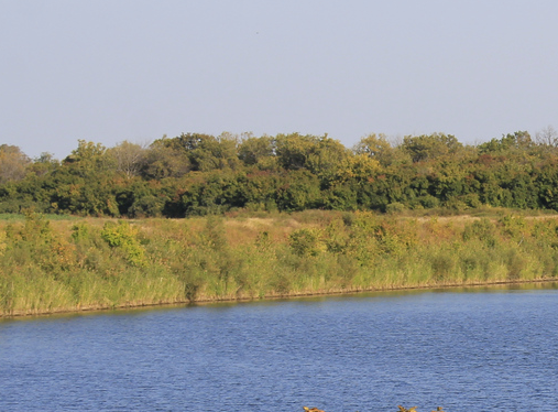 Сплав и рыбалка на р. Б. Иргиз  от Старой Порубёжка  до п. Заволжский (139 км) - фото