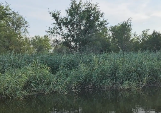 Сплав и рыбалка на р. Б. Иргиз  от Старой Порубёжка  до п. Заволжский (139 км) - фото