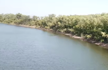 Сплав и рыбалка на р. Б. Иргиз  от Старой Порубёжка  до п. Заволжский (139 км) - фото