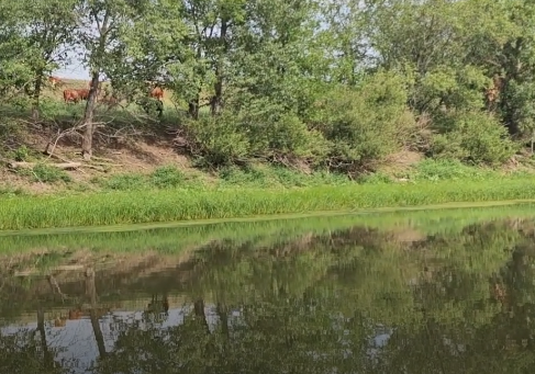 Сплав и рыбалка на р. Б. Иргиз  от Старой Порубёжка  до п. Заволжский (139 км) - фото