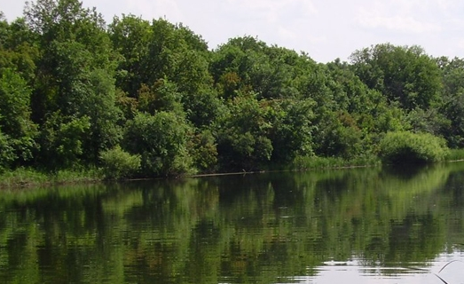 Сплав и рыбалка на р. Б. Иргиз  от Старой Порубёжка  до п. Заволжский (139 км) - фото