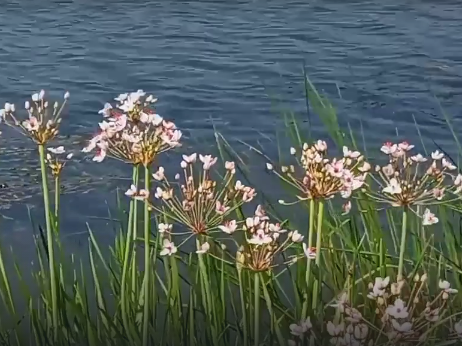 Сплав и рыбалка на реке Большой Иргиз от с. Березово до с. Быков Отрог (158 км) - фото