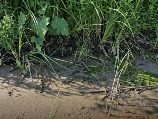 Сплав и рыбалка на реке Большой Иргиз от с. Березово до с. Быков Отрог (158 км) - фото