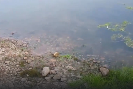 Сплав и рыбалка на реке Большой Иргиз от с. Березово до с. Быков Отрог (158 км) - фото