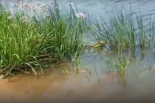 Сплав и рыбалка на реке Большой Иргиз от с. Березово до с. Быков Отрог (158 км) - фото