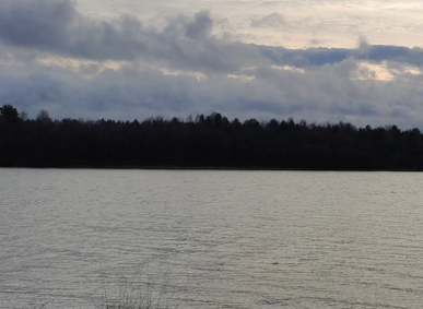 Сплав и рыбалка на р. Унжа от г. Мантурово до г. Макарьев (длина 101 км) - фото