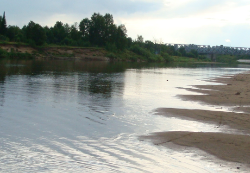 Сплав и рыбалка на р. Унжа от г. Мантурово до г. Макарьев (длина 101 км) - фото