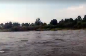 Сплав и рыбалка на р. Унжа от г. Мантурово до г. Макарьев (длина 101 км) - фото