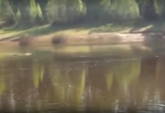 Сплав и рыбалка на р. Унжа от г. Мантурово до г. Макарьев (длина 101 км) - фото