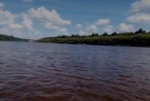 Сплав и рыбалка на р. Унжа от г. Мантурово до г. Макарьев (длина 101 км) - фото