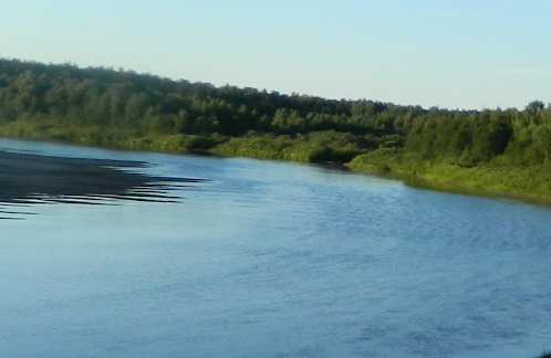 Сплав и рыбалка на р. Унжа от г. Мантурово до г. Макарьев (длина 101 км) - фото