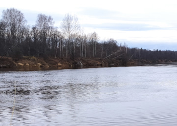 Сплав и рыбалка на р. Унжа от г. Мантурово до г. Макарьев (длина 101 км) - фото