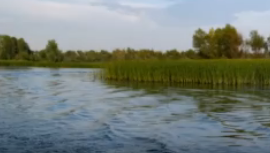 Сплав и рыбалка на р. Б. Черемшан от д. Караульная Гора до Димитровграда (156 км - фото