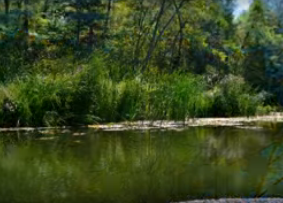 Сплав и рыбалка на р. Б. Черемшан от д. Караульная Гора до Димитровграда (156 км - фото