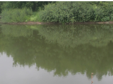 Сплав и рыбалка на р. Б. Черемшан от д. Караульная Гора до Димитровграда (156 км - фото