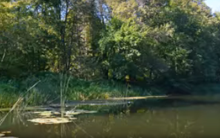 Сплав и рыбалка на р. Б. Черемшан от д. Караульная Гора до Димитровграда (156 км - фото