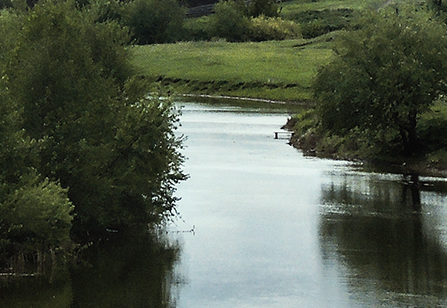 Сплав и рыбалка на р. Б. Черемшан от д. Караульная Гора до Димитровграда (156 км - фото
