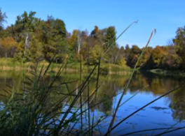 Сплав и рыбалка на р. Б. Черемшан от д. Караульная Гора до Димитровграда (156 км - фото