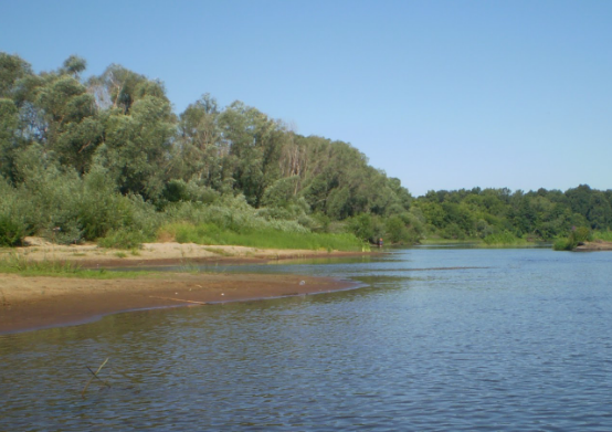 Сплав и рыбалка на р. Цна от д. Колдамышево до г. Сасово (длина 25 км) - фото