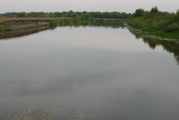 Сплав и рыбалка на р. Цна от д. Колдамышево до г. Сасово (длина 25 км) - фото