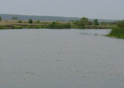 Сплав и рыбалка на р. Цна от д. Колдамышево до г. Сасово (длина 25 км) - фото