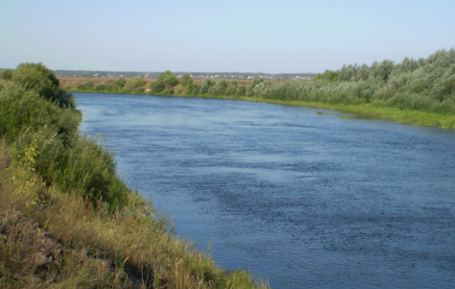 Сплав и рыбалка на р. Цна от д. Колдамышево до г. Сасово (длина 25 км) - фото