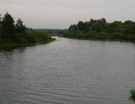 Сплав и рыбалка на р. Цна от д. Колдамышево до г. Сасово (длина 25 км) - фото