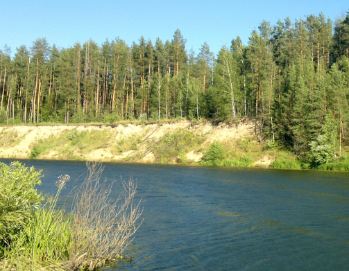 Сплав и рыбалка на р. Цна от д. Колдамышево до г. Сасово (длина 25 км) - фото