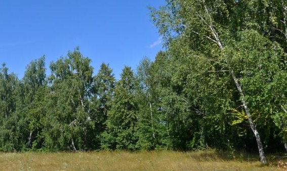 Сплав и рыбалка по р. Быстрый Танып от д. Староякшеево до с. Юсупово (182 км) - фото