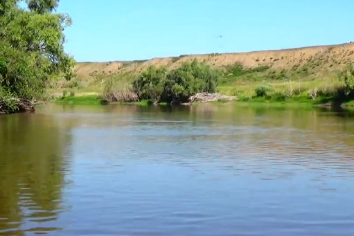 Сплав и рыбалка на р. Омь от с. Старые Карачи до с. Казачий Мыс (длина 193 км) - фото