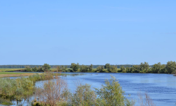 Сплав и рыбалка на р. Омь от с. Казачий Мыс до г. Калачинск (длина 266 км) - фото
