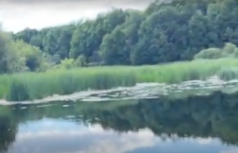 Сплав и рыбалка на р. Ранова от с. Шелемишево до п. Газопровода (длина 65 км) - фото